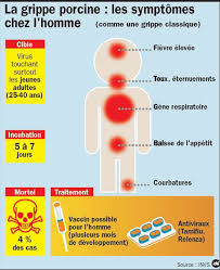 Maladie contagieuse, la grippe est une infection virale qui sévit généralement en épidémie saisonnière et parfois en pandémie entre l'automne et l'hiver. Definition Grippe A Grippe A H1n1 Grippe A H1n1 Grippe Porcine Futura Sante