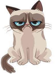 Grumpy Cat Cartoon Reduced Size Png Grumpy Cat Cartoon Grumpy Cat Grumpy Cat Birthday