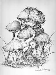 Toadstool Child Jpg 1194 1600 Fairy Art Creature Drawings Drawings