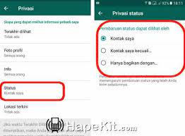 We did not find results for: Cara Menyembunyikan Status Wa Pada Kontak Tertentu Hapekit