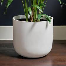 In our carefully curated vase selection, you will find flower pots from bergs pottery, handcrafted artisan floral vases, exclusive colors and shapes of ceramic vases, as well an assortment of neutral vases | / adorable distressed white ceramic bud vase from the hari collection is the perfect home flower vase. Pin By Fernanda Carrasco On Plantas Large Indoor Plants Large Plant Pots Plant Pots Uk