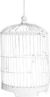 Bird Cage Png Image Bird Cage Bird Pet Birds