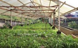 Tampak berbagai penerapan ilmu pertanian seperti akuaponik yang merupakan perpaduan antara pertanian dan perikanan. Berkebun Juga Bisa Di Atas Atap Tribunnews Com Mobile