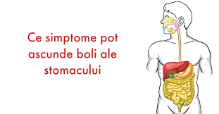 Durerea de stomac în timpul sarcinii este un simptom al unei boli grave sau al unei norme fiziologice? Analize Medicale Pentru Stomac