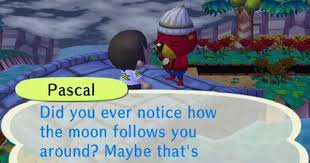 Patty Pascal Jeff S Accf Blog Animal Crossing Memes Animal Crossing City Folk