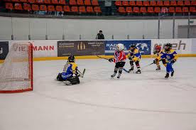 Listă nouă vânzare la cald vânzări cu ridicata trei patinoare îi aşteaptă pe iubitorii acestui sport, la braşov. Patinoarul Olimpic Din Brasov