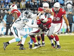 Image result for carson palmer nfc championship