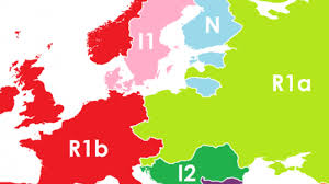 Karta europe sa glavnim gradovima | karta from d1x7wtd7o9kqaz.cloudfront.net. Kad Bi Dnk OdreÄ'ivao Granice Mapa Evrope Bi Ovako Izgledala Vesti Zivot B92 Net