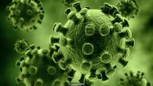 Should Viruses Count As Living Things Credit Jezper Alamy This Or That Questions Definitions Life