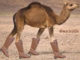 The deployment includes aws cloudformation templates that build the aws infrastructure using aws best practices. Cloud Native Camel Riding With Jboss Fuse And Openshift Software Blog