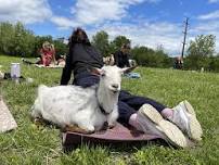 Pilates with Goats Twins BBQ Includes a Free Drink