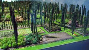 Ver más ideas sobre xochimilco, ciudad de méxico, méxico. 9 Floating Gardens Of Xochimilco Ideas Xochimilco Floating Garden Mexico