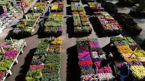 Check spelling or type a new query. Westminster O Toole S Garden Centers