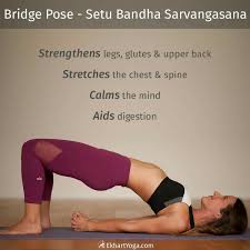 Bridge Pose Bridge Pose Learn Yoga Poses Yoga Poses Pictures