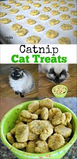 Why make your own cat treats? Catnip Cat Treats Recipe Mess For Less