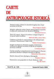 In cei 20 de ani ai perioadei. Ceeol Article Detail