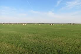 Stan kroenke buys famous waggoner ranch. Arsenal Fans Left Fuming After Stan Kroenke Buys This Mega 535 000 Acre Texas Ranch For 500million Mirror Online