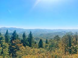 basque country automne colours en 2020 pays basque tourisme pays