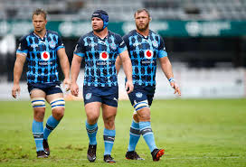 Both teams try to perform well in new south wales npl. Currie Cup Final 2021 Blue Bulls V The Sharks