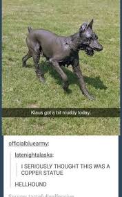 Super Bath Quotes Funny God Ideas Lustige Humor Bilder Hund Funnies Lustig