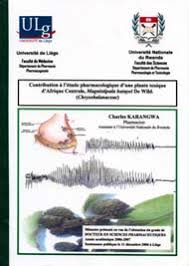 Image result for Magnistipula butayei