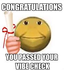Congratulations You Passed Your Vibe Check In 2020 Stupid Memes Cute Memes Stupid Funny Memes