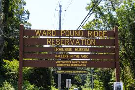 Maybe you would like to learn more about one of these? Ward Pound Ridge Reservation 19 The Zen Hiker