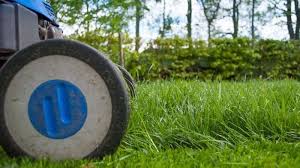 Check spelling or type a new query. New Turf Care How To Look After Your Freshly Laid Lawn In 5 Easy Steps