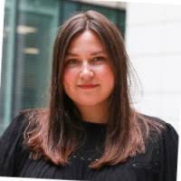 80+ "Plowden" profiles