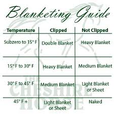 understanding horse blankets horse health horses horse