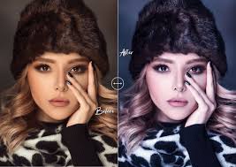 100 Winter Lightroom Presets: Cinematic Luts Bundle