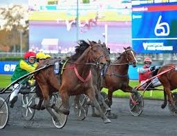Le grand prix d'amérique est une course internationale du groupe i offrant une allocation totale de 1.000.000 € dont la moitié est destinée au vainqueur. Grand Prix D Amerique 2020 Les Videos Des Courses Qualificatives Trot Zone Turf Fr