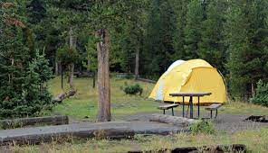 Maybe you would like to learn more about one of these? Where Should I Camp In Yellowstone National Park