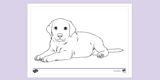 Check spelling or type a new query. Free Pets Labrador Puppy Dog Colouring Sheet Colouring Sheets