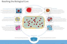 We did not find results for: The Future Of Diabetes Treatment Is A Cure Possible