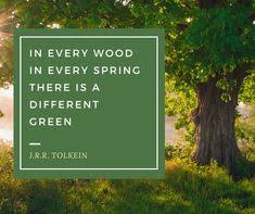 Leave this world a better place than you found it. 25 Tree Quotes And Inspiration Ideas Tree Quotes Quotes Tree