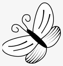 Mau buat gambar sketsa kupu kupu? Sketsa Gambar Kupu Kupu Butterfly Drawing Line Art Hd Png Download Transparent Png Image Pngitem