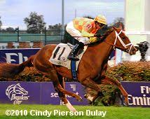 2010 Breeders Cup World Championships Results