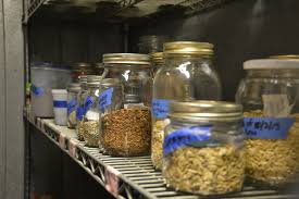 So do not be afraid to take advantage of the opportunity. Snake River Seed Cooperative Boise Co Op
