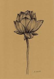 Lotus Lotus Flower Original Art Quick Sketch Drawing Pen Black Pen Brown Paper Ink Pen Marker Ske Flower Drawing Lotus Flower Drawing Marker Drawing