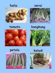 Sayur adalah merujuk kepada sebarang tumbuhan atau bahagian tumbuhan yan dimakan secara mentah atau setelah dimasak,sebagai ulam, salad atau lauk, bukan. Sayur Sayuran Di Malaysia Cute766