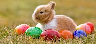 Ostern gehört zu den beweglichen feiertagen, da sich der zeitpunkt, wann wir ostern feiern, nach dem mond richtet.generell wird ostern am sonntag nach dem ersten vollmond im frühling gefeiert. Mama Warum Feiern Wir Ostern Baby Und Familie