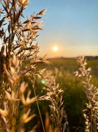 We did not find results for: 500 Country Pictures Hd Download Free Images On Unsplash