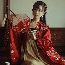 十三余小豆蔻儿 水调歌头 齐胸襦裙绣花大袖衫长袖外套 甄选优质汉服商家 爱汉服 fashion hanfu saree