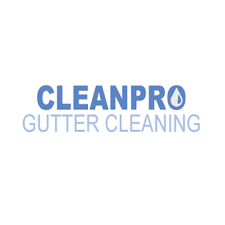 Gutter installation in norfolk, virginia beach, newport news & surrounding areas in hampton roads. Gutter Cleaning Virginia Beach Clean Pro Gutter Cleaning