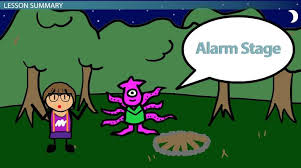 General Adaptation Syndrome Stages Definition Examples Video Lesson Transcript Study Com