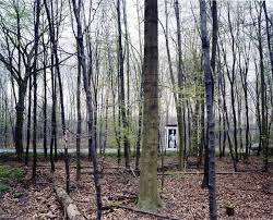 Max Regenberg Christy Im Wald New Topographics Landscape Photography Contemporary Photography