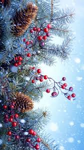 Hd wallpapers and background images Pretty The Most Beautiful Wallpapers For Smartphones Are The Ones With Christmas Tree Branch Wallpaper Iphone Christmas Christmas Wallpaper Christmas Scenes