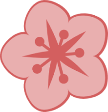 Cherry Blossom Cherry Blossom Clip Art Cherry Blossom Chinese New Year Flower