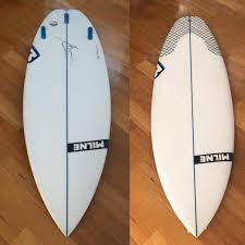 Image result for Mikaniopsis